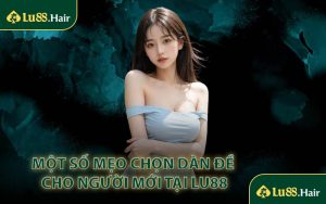 Một Số Mẹo Chọn Dàn Đề Cho Người Mới Tại LU88